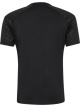 Artikel 223806 - 2001 hmlPRO TRAINING JERSEY S/S black