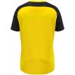 JAKO Shirt Vintage korte mouw geel/zwart/antraciet
