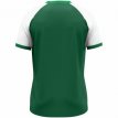 Artikel 4270-205 JAKO Shirt Dynamic KM donkergroen/wit/groen