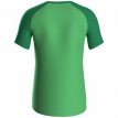 JAKO T-shirt Iconic zachtgroen/sportgroen