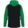 Artikel 6826-827 JAKO Jas met kap Sonic zwart/groen