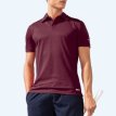 Artikel 863000-6690 Elliot Polo Burgundy