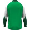 JAKO Ziptop Dynamic groen/wit/donkergroen
