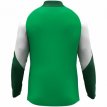 JAKO Polyestervest Dynamic groen/wit/donkergroen